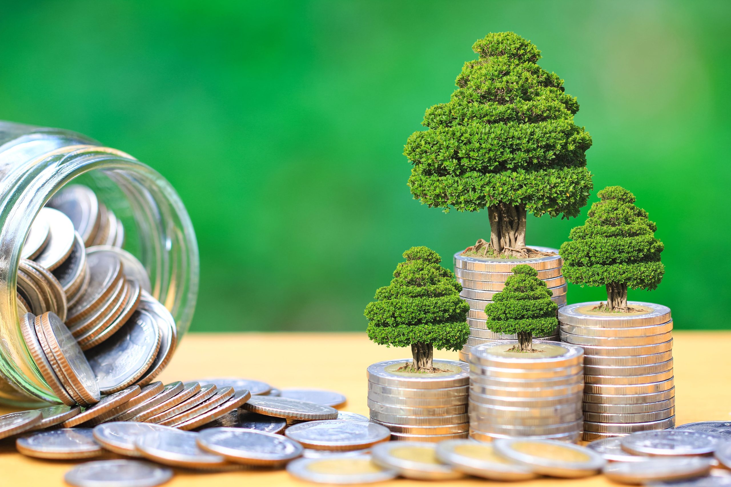 الإمارات تتصدر إقليمياً جداول إصدارات السندات الخضراء بقيمة 10.7 مليار دولار